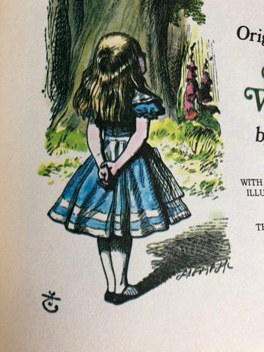 ※ Alice in Wanderland ※カラー版　オリジナルイラスト