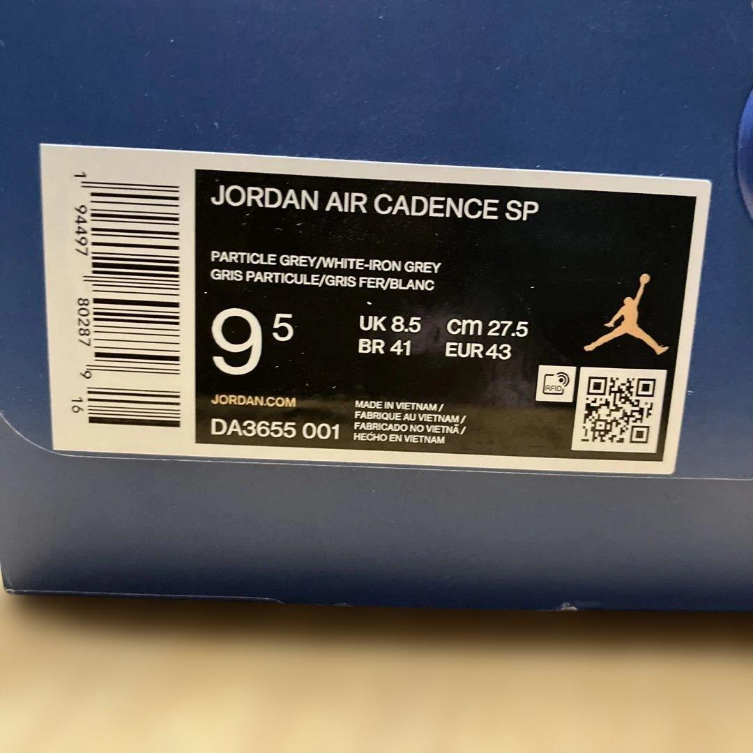 シューズ(男性用) Jordan Air Cadence SP