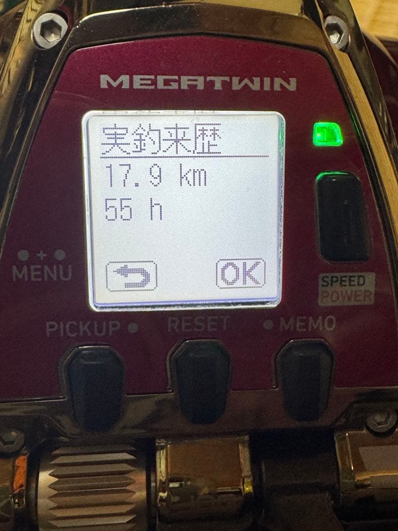 DAIWA SEABORG G800MJ リール