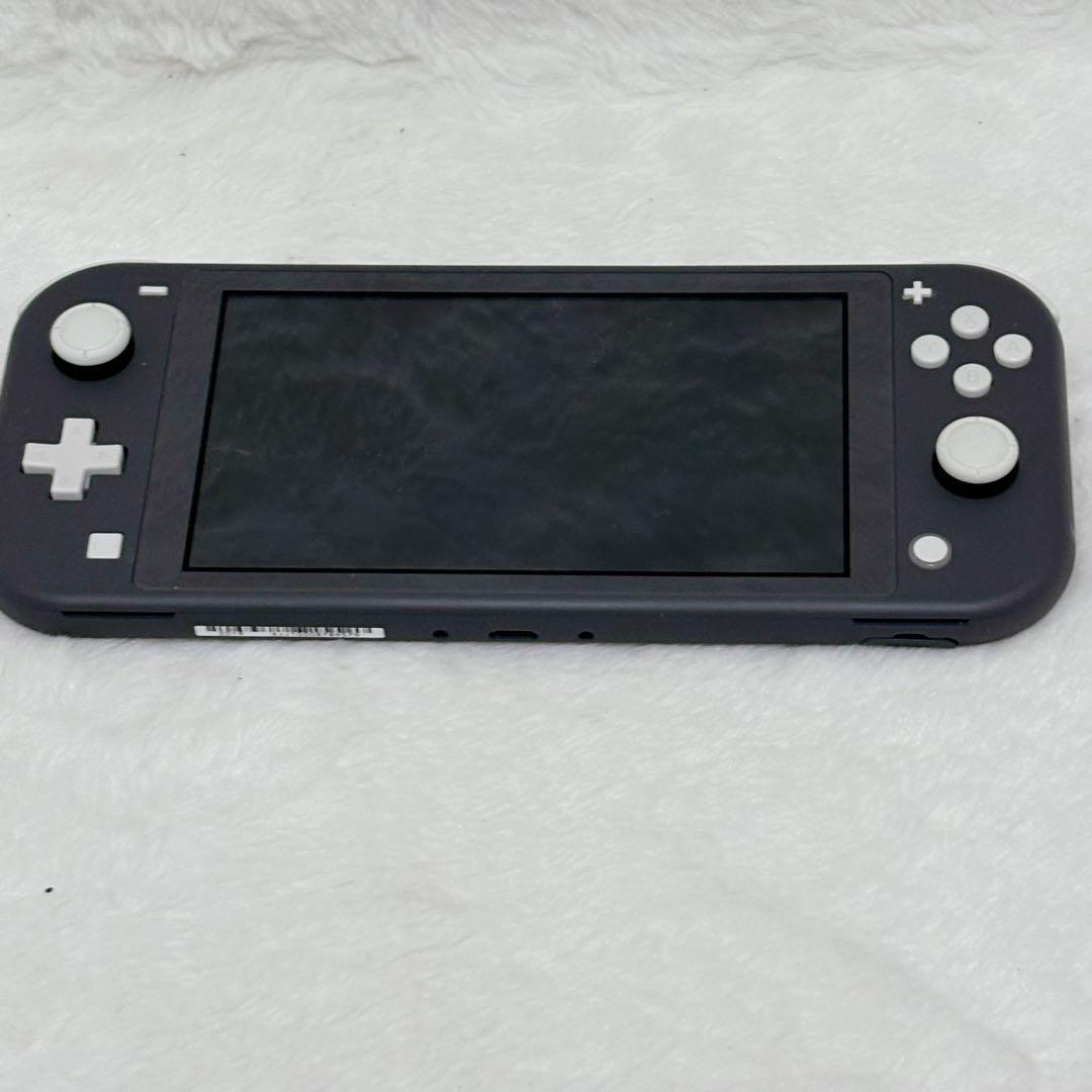 【外観極美品】任天堂: Switch Lite グレー HDH-001