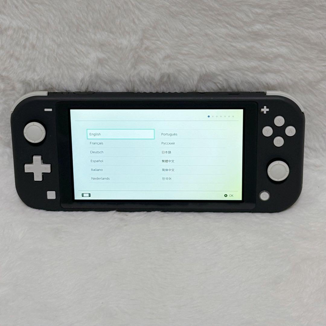 【外観極美品】任天堂: Switch Lite グレー HDH-001