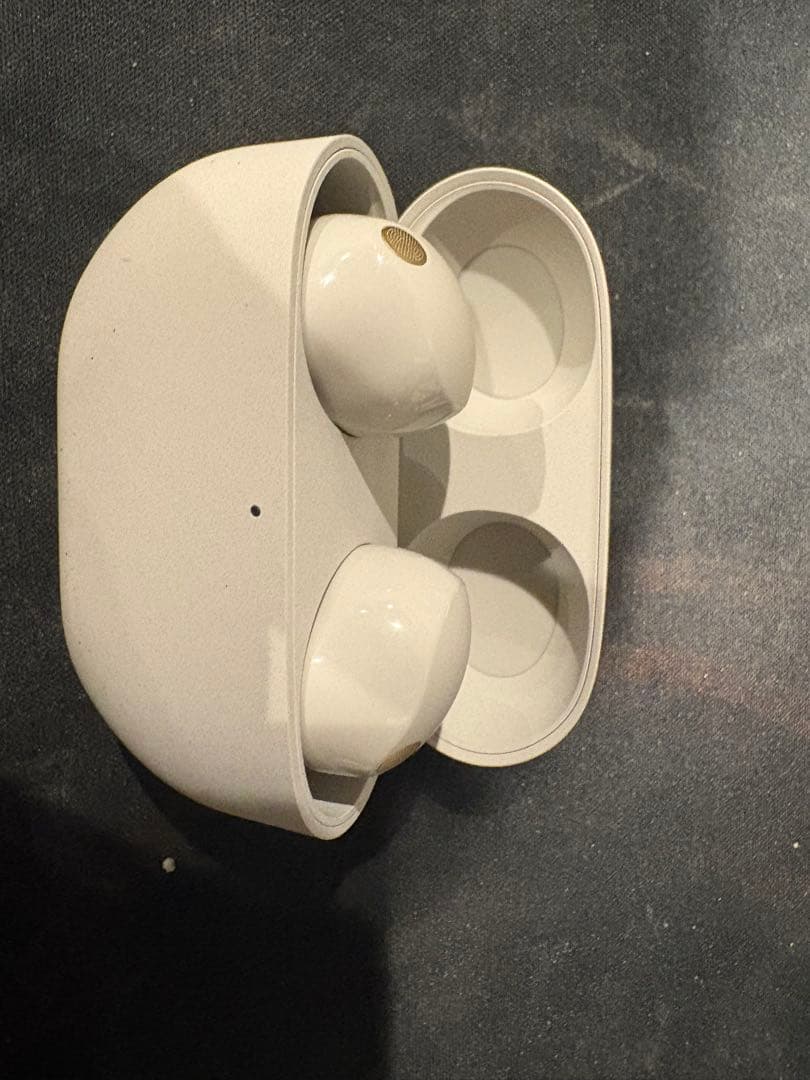 SONY sony wf-1000xm5 箱無し イヤーカフ無し