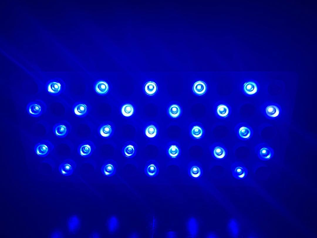 珊瑚水槽照明 LEDライト ブラックボックス プリズムレンズ　2台　※訳あり