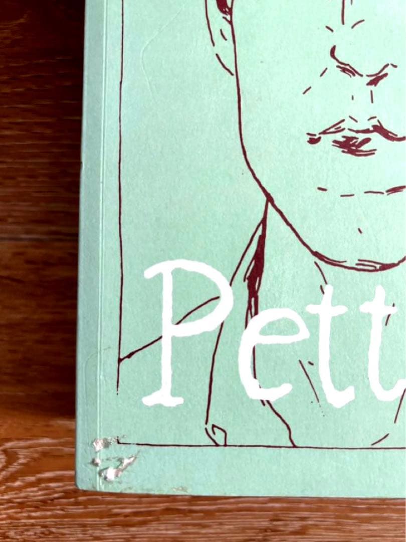 洋書 Raymond Pettibon The Books 1978-1998