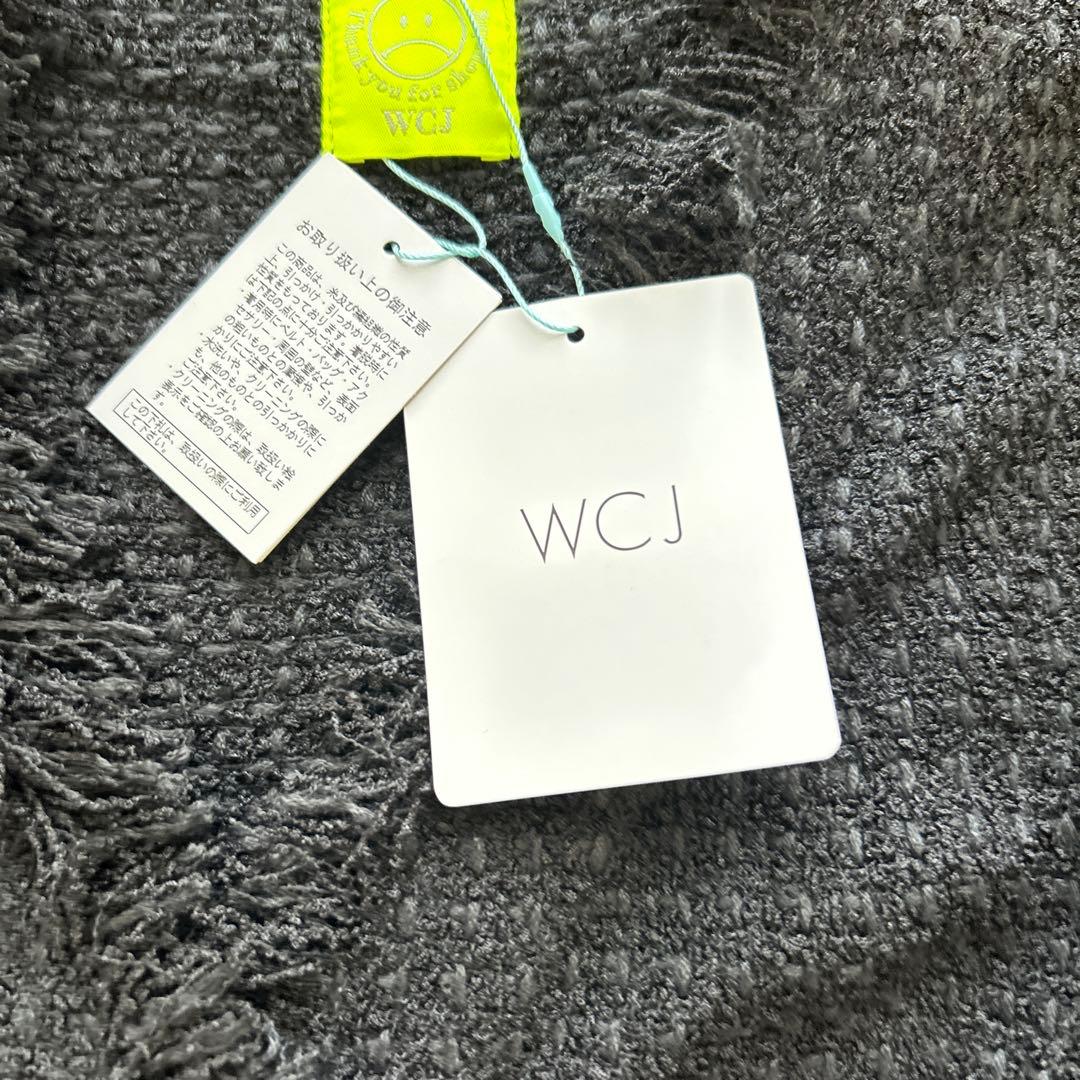 wcj フリンジベスト⭐︎若槻千夏　タグ付き