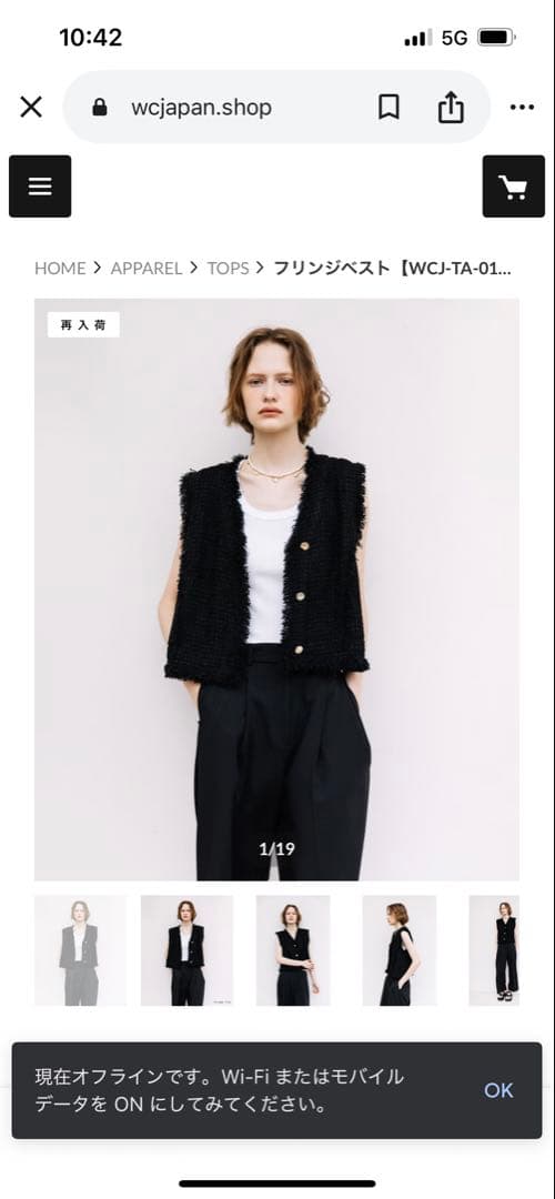 wcj フリンジベスト⭐︎若槻千夏　タグ付き