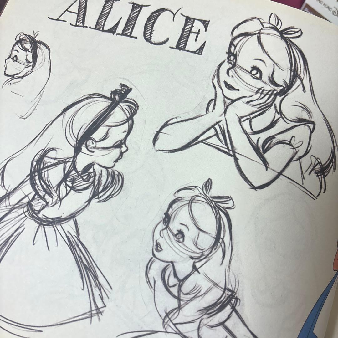 レア 不思議の国のアリス70周年記念画集