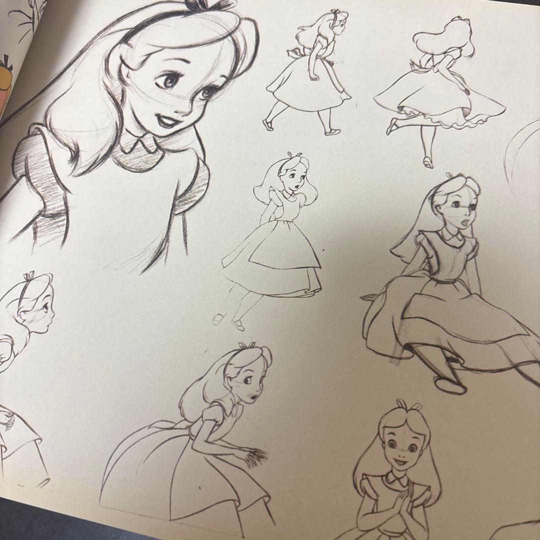 レア 不思議の国のアリス70周年記念画集