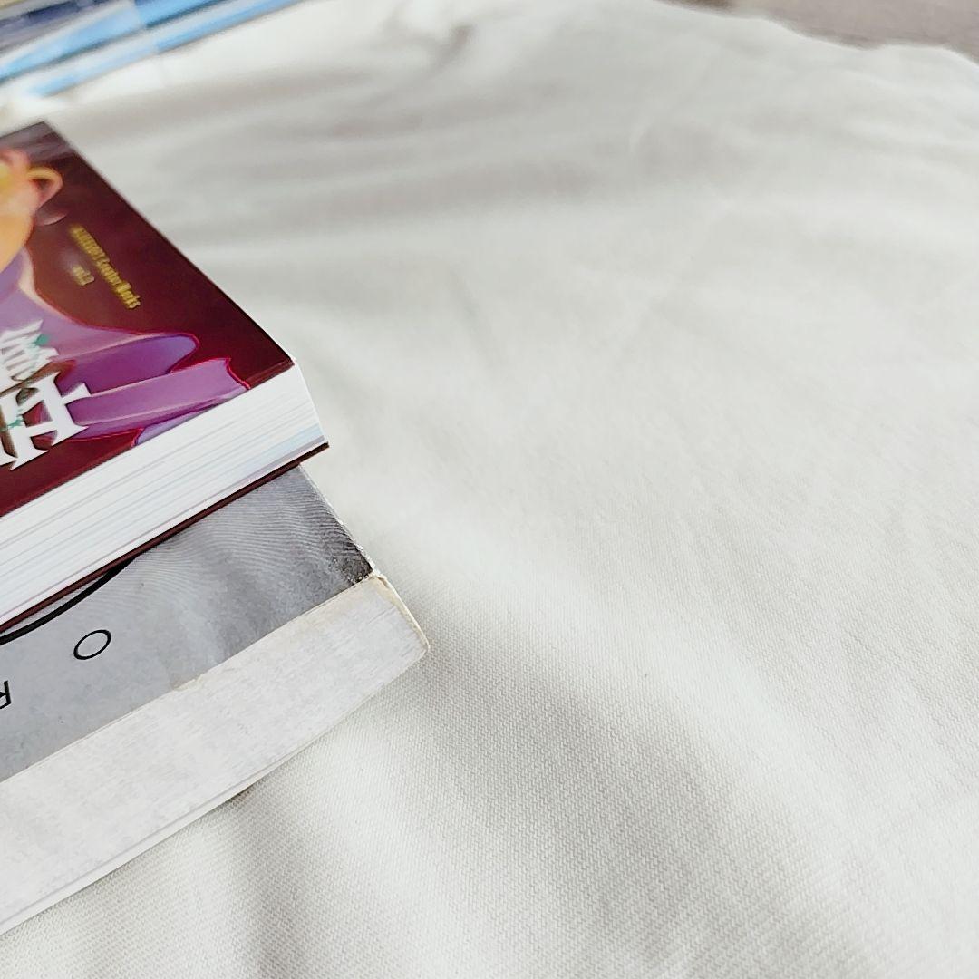 【エコメル便限定】織音計画限定版　ALICESOFT　希少品　画集　アートワーク