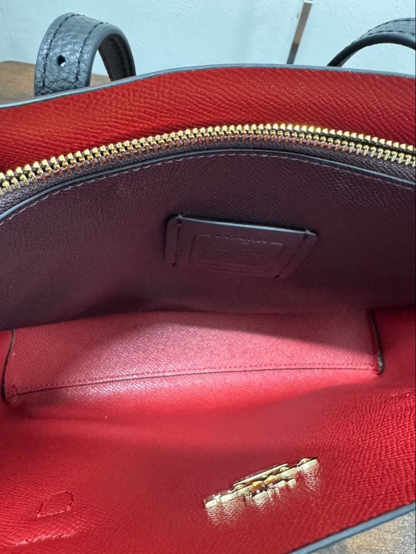 美品 COACH 2way ブラックレザー モリー ショルダーバッグ