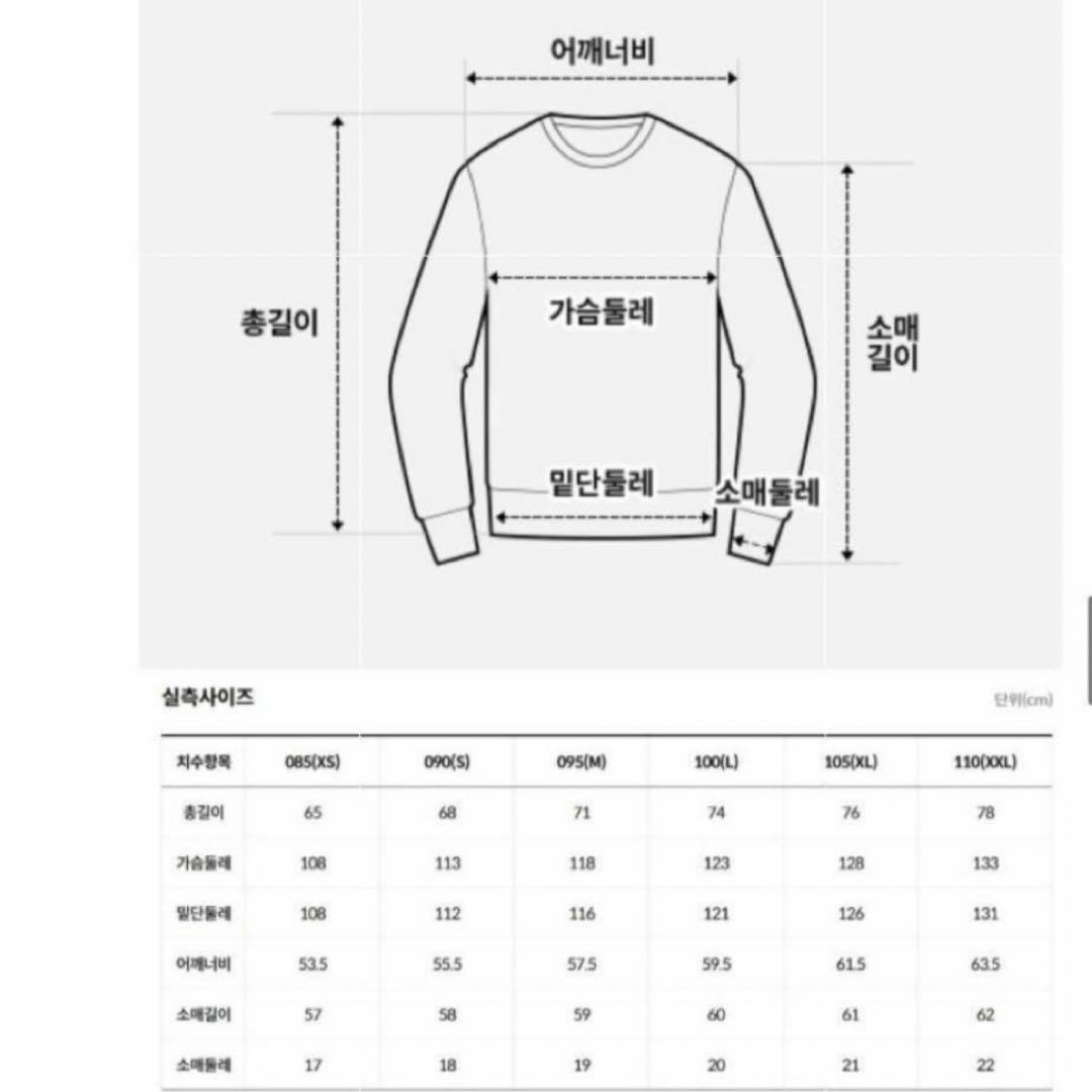 【韓国限定】THENORTHFACEホワイト ロンT L新品