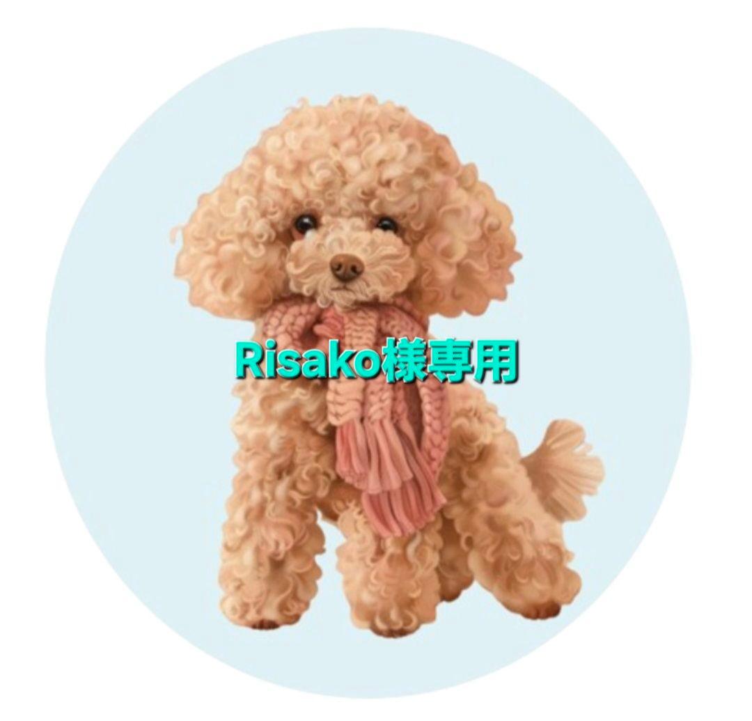 RisakoiQOSケースオーダーページ