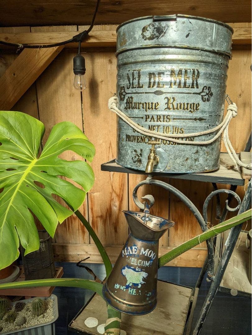 アンティークな家 室内ガーデニング 貯水タンク（S） 室内植物 水やり方法