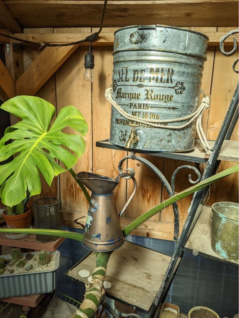 アンティークな家 室内ガーデニング 貯水タンク（S） 室内植物 水やり方法