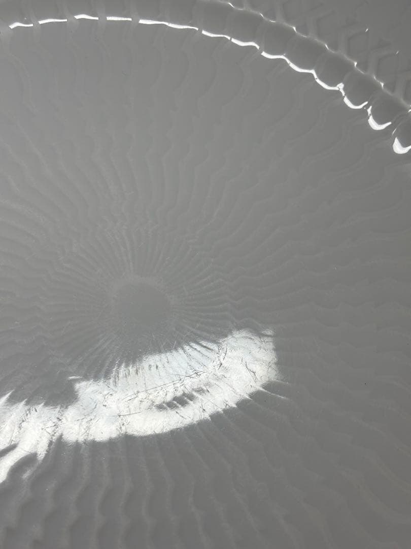 廃盤　ロイヤルコペンハーゲン ブルーファン ディナープレート　希少な31cm