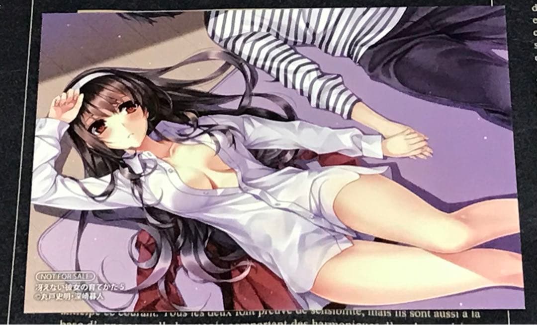 冴えない彼女の育てかた 全巻 セット 全巻 初版 帯付き 20冊 冴えカノ