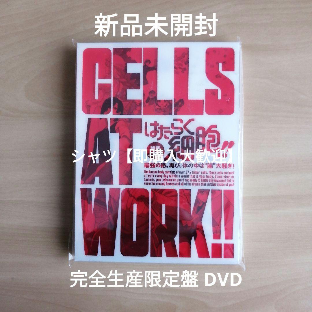 新品★特別上映版「はたらく細胞!! 」最強の敵、再び。 完全生産限定版 DVD