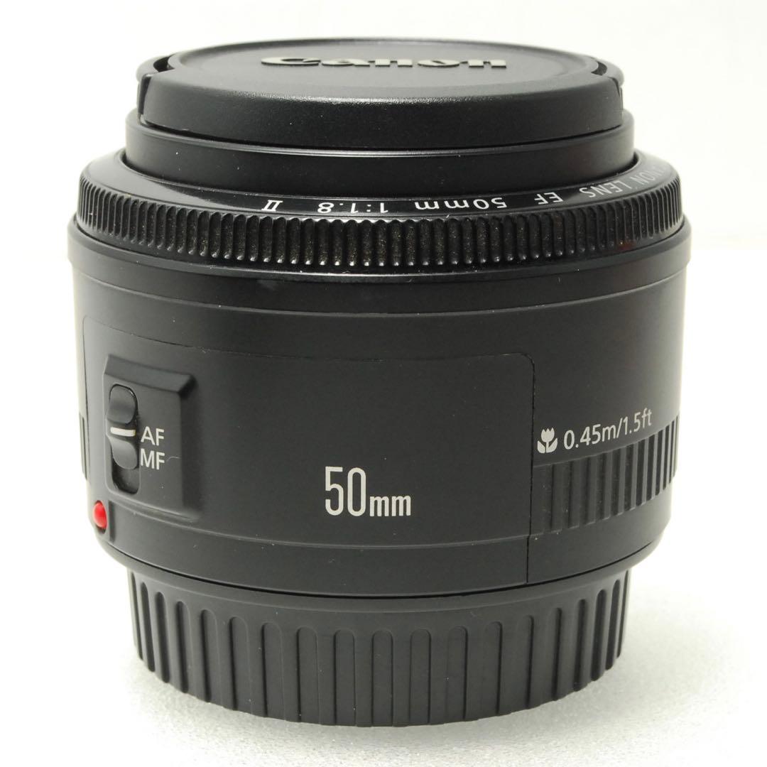 Canon EF 50mm F1.8 Ⅱ ❤️キヤノン 単焦点レンズ 一眼レフ