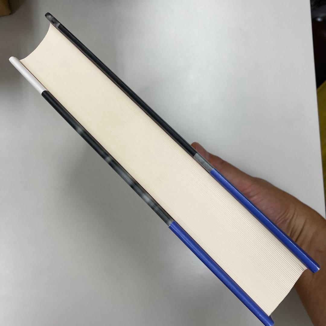 新品　文化の窮状 : 二十世紀の民族誌、文学、芸術