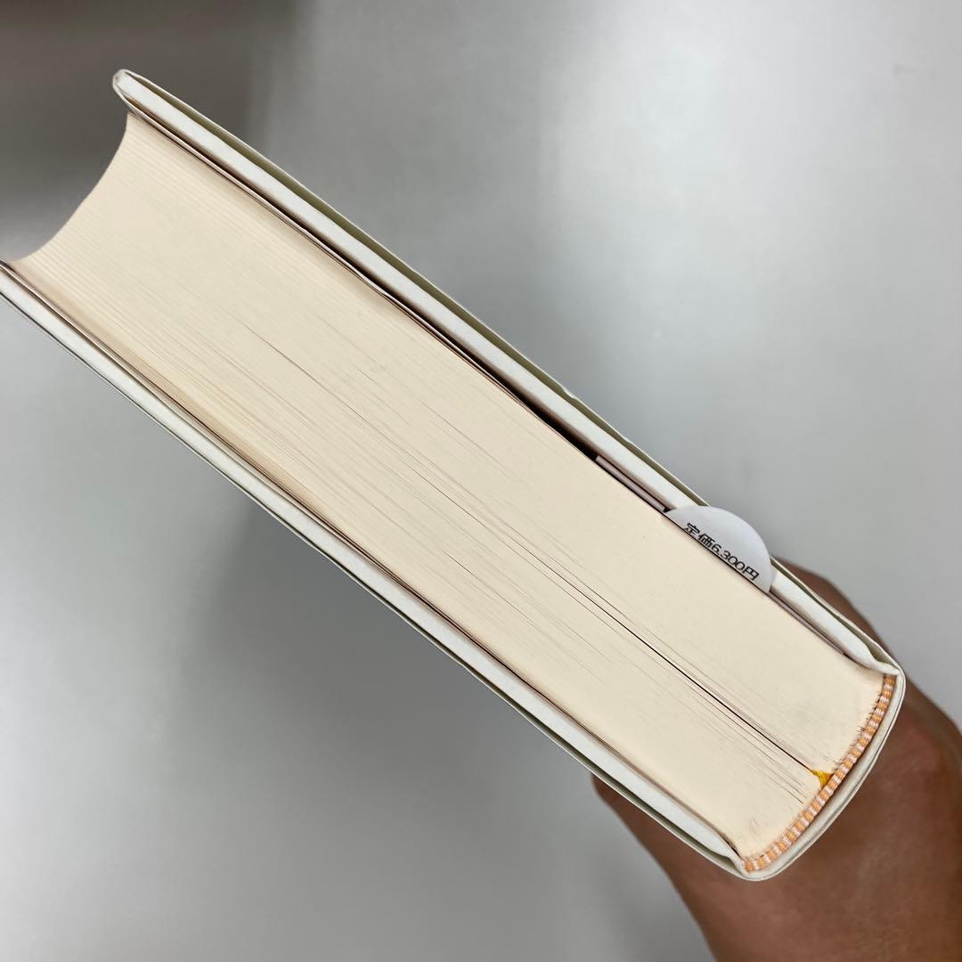 新品　文化の窮状 : 二十世紀の民族誌、文学、芸術