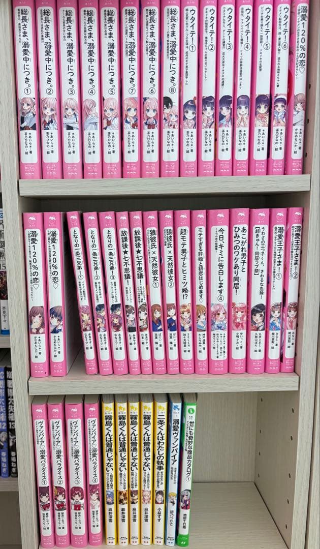 野いちごジュニア文庫などまとめ売り