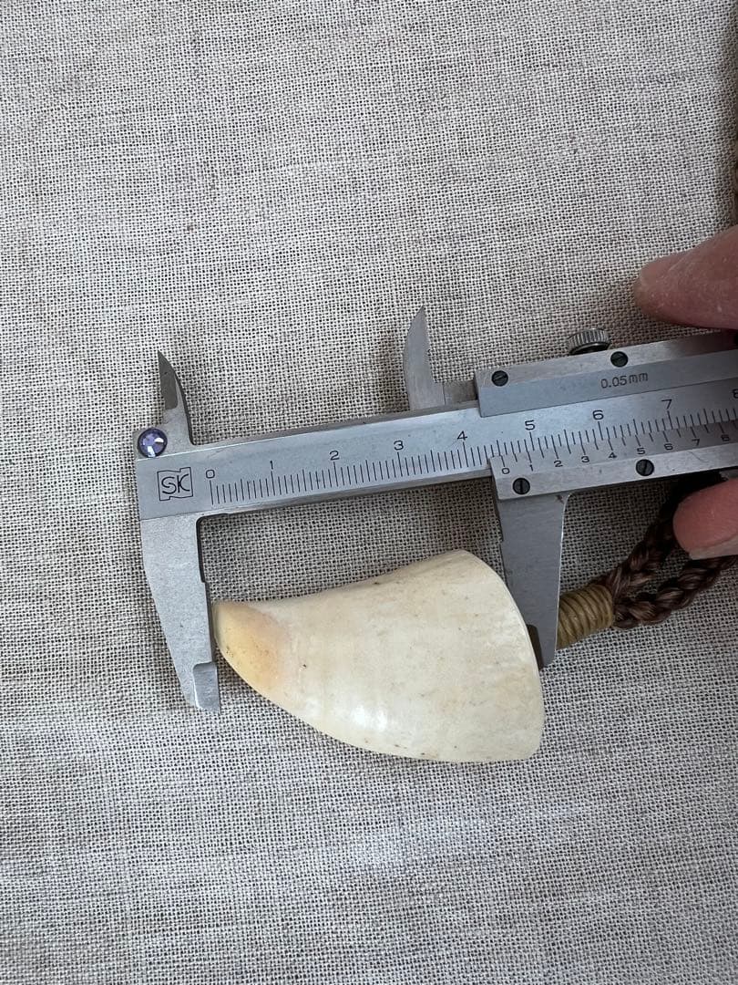 EIGHT BALL 8 ボーンカービング　　歯　ネックレス