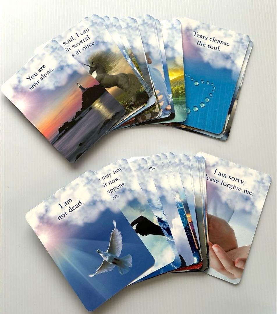 トーキングトゥヘブンミディアムシップカード