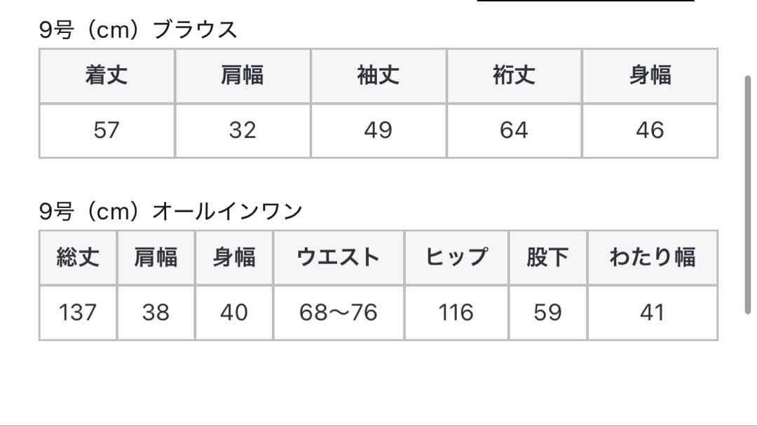 ヤマダヤ　Rire Fete レースブラウス✕オールインワンレイヤードドレス