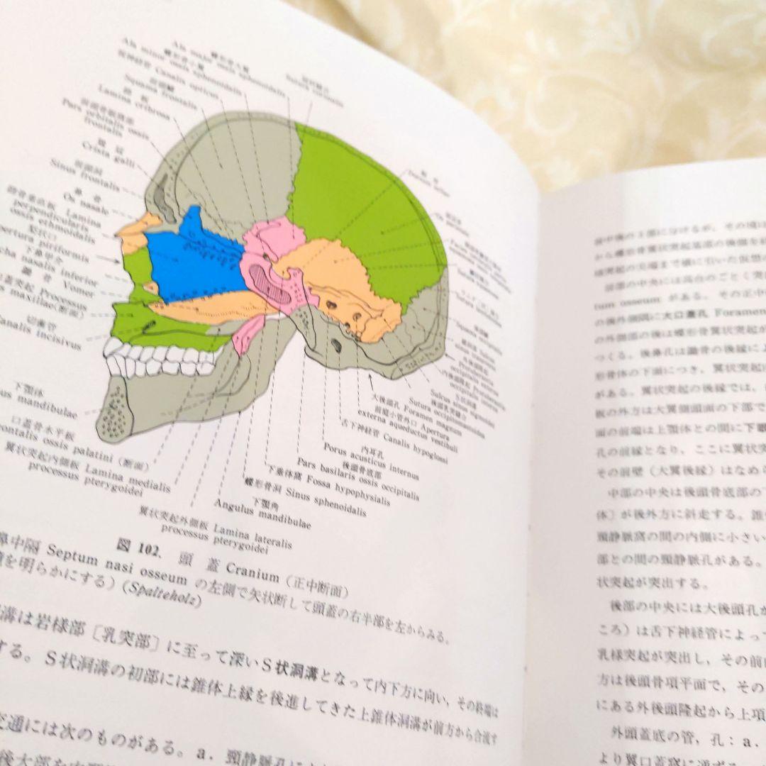お値下げ！分担　解剖学123　３冊セット　医学本　専門書