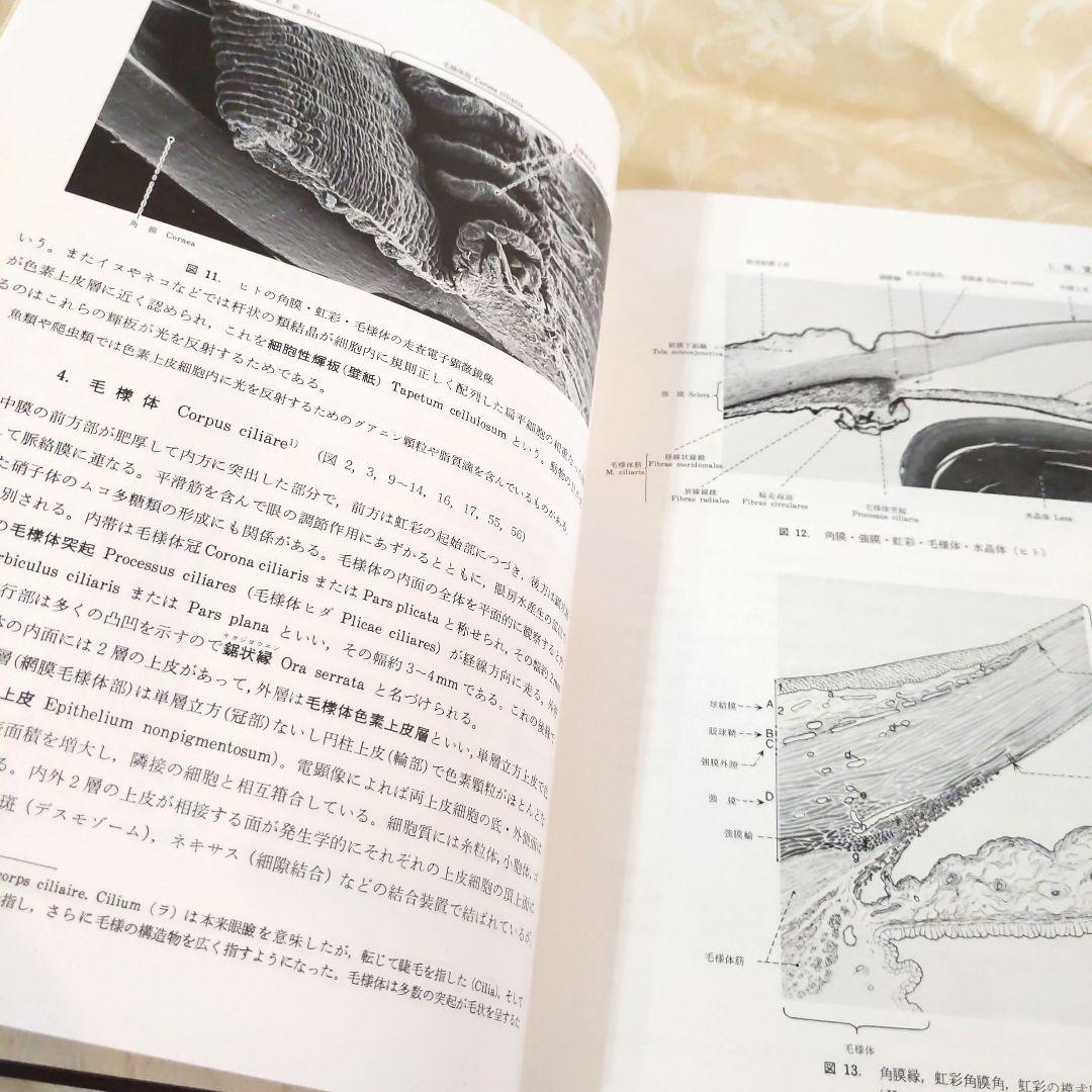 お値下げ！分担　解剖学123　３冊セット　医学本　専門書