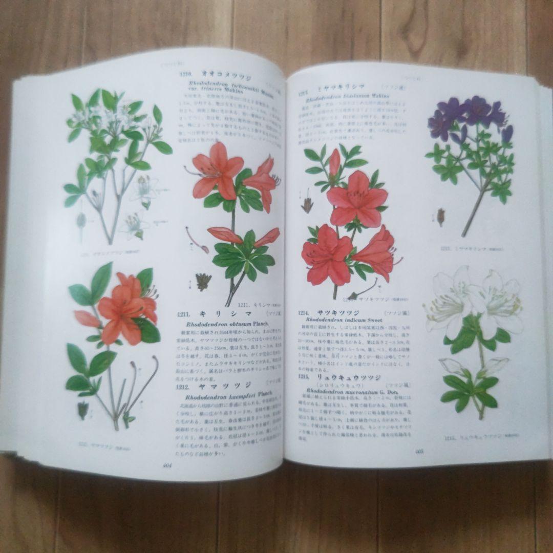 牧野富太郎 原色牧野植物大図鑑