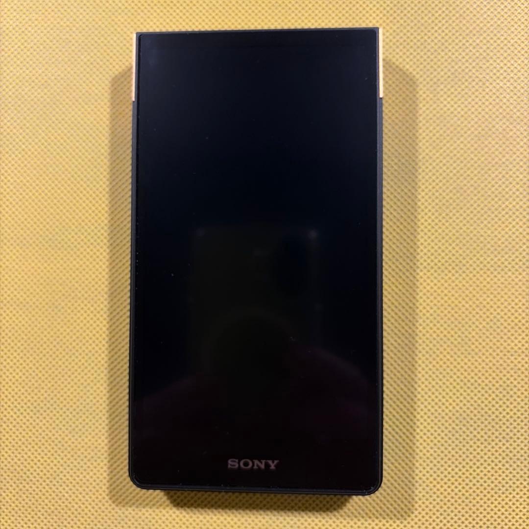 SONY NW-ZX707 純正ケース、ストラップ付き
