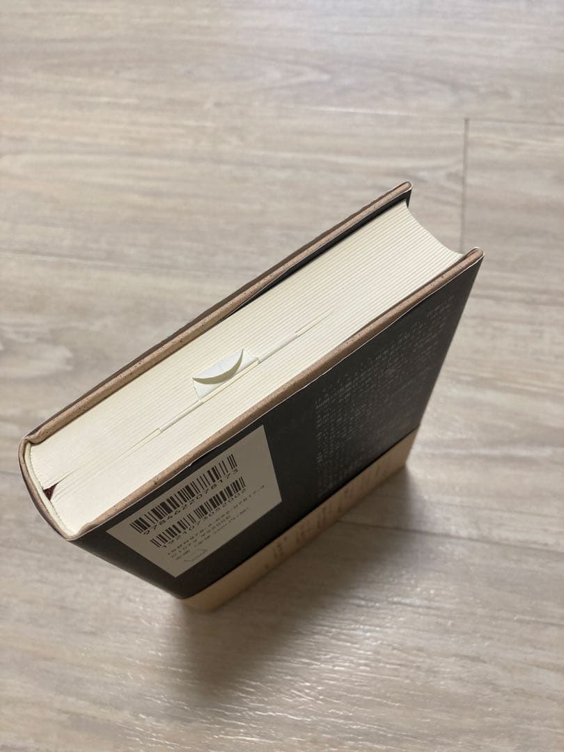 ノイズ/ミュージック 歴史・方法・思想 ルッソロからゼロ年代まで