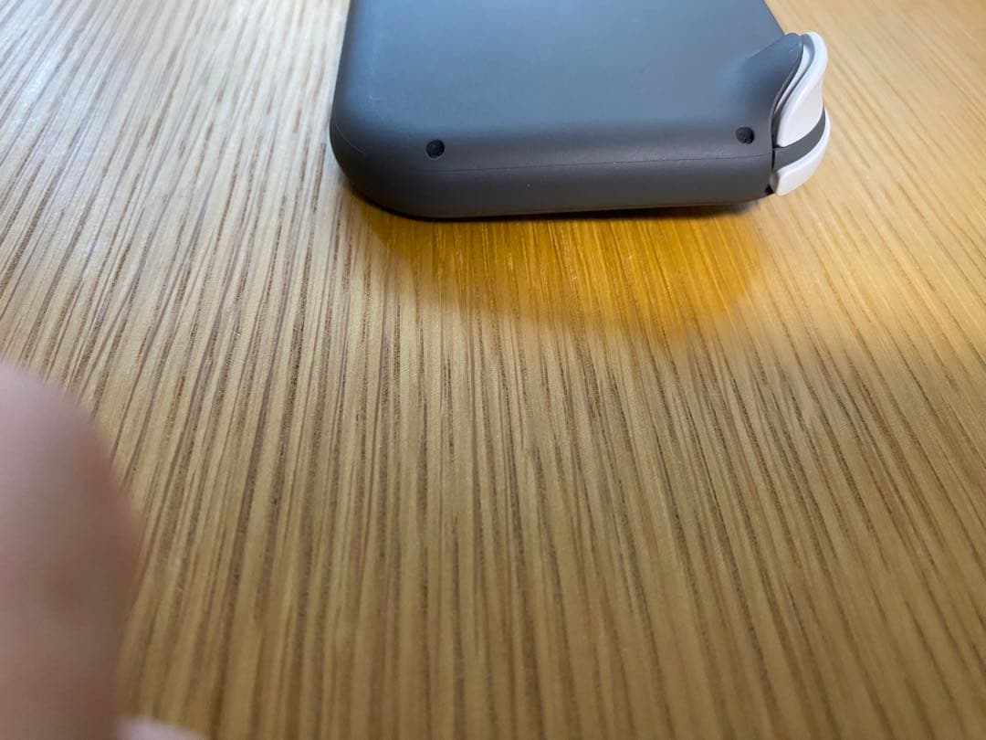 【美品】Nintendo Switch Lite グレー 本体 充電器