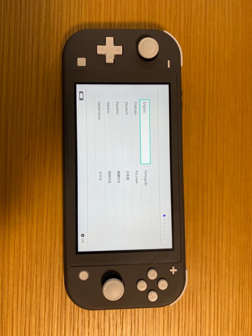 【美品】Nintendo Switch Lite グレー 本体 充電器