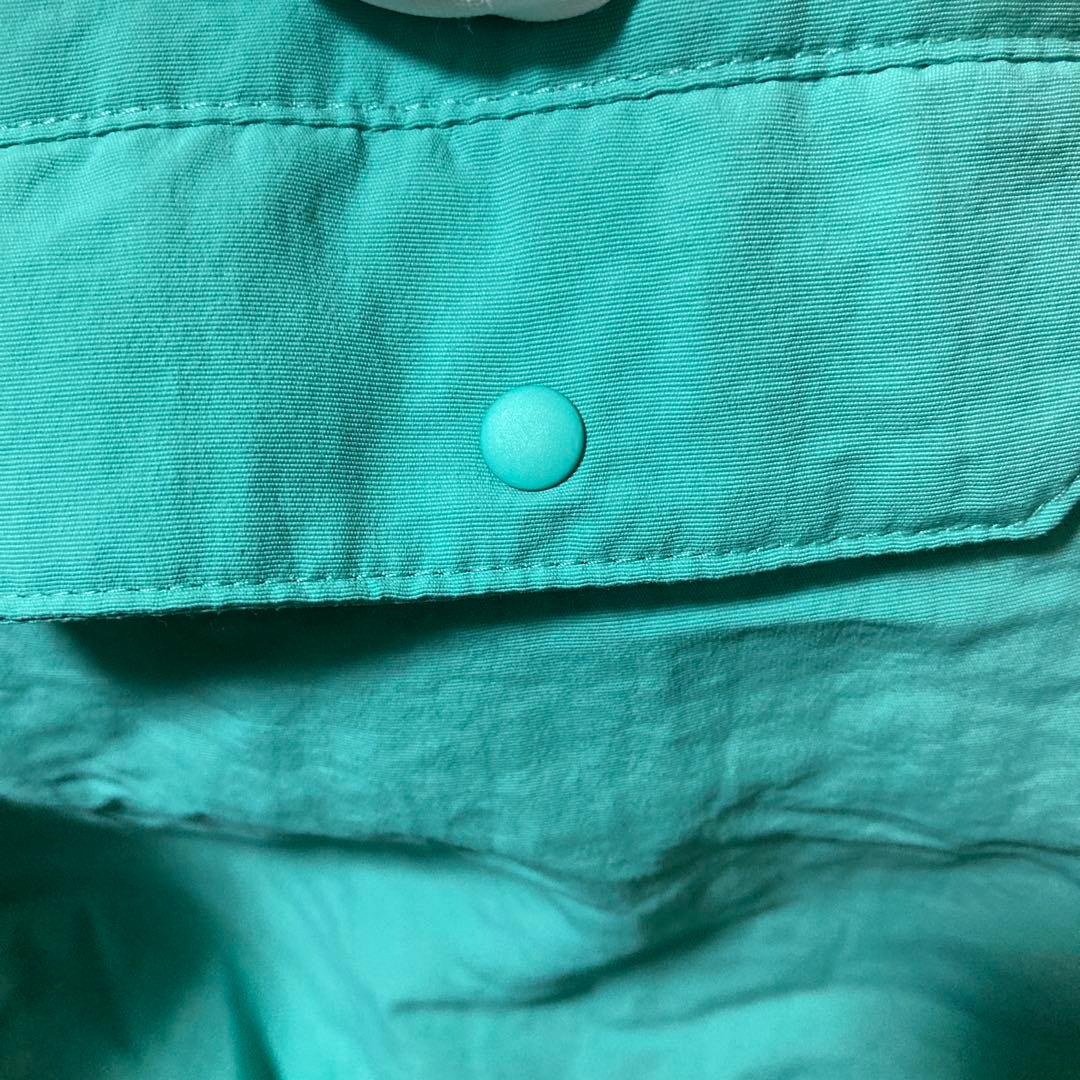 patagonia パタゴニア　バギーズショーツ　5インチ　フレッシュティール