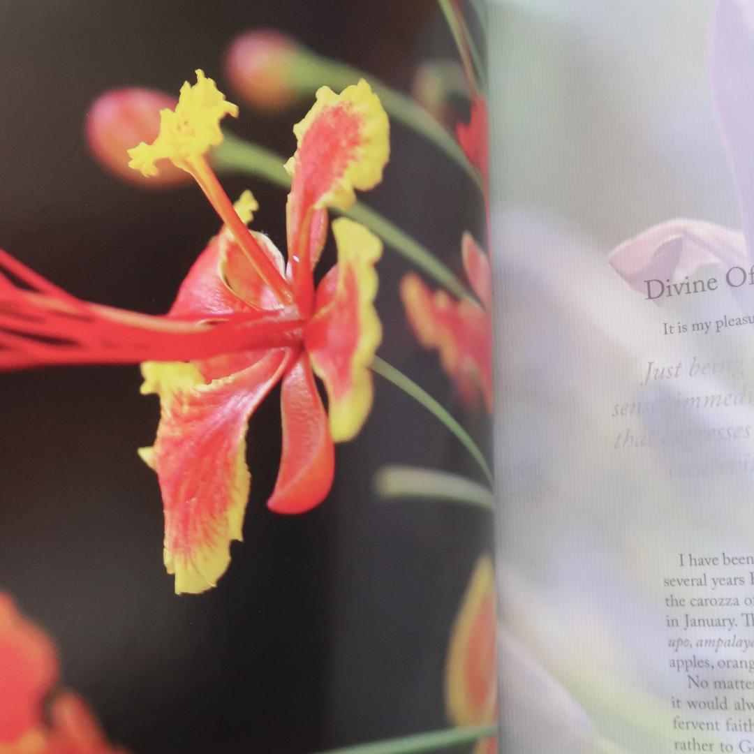 特別価格！　希少洋書 『花のインスピレーション装飾』生花、フラワーアレンジメント