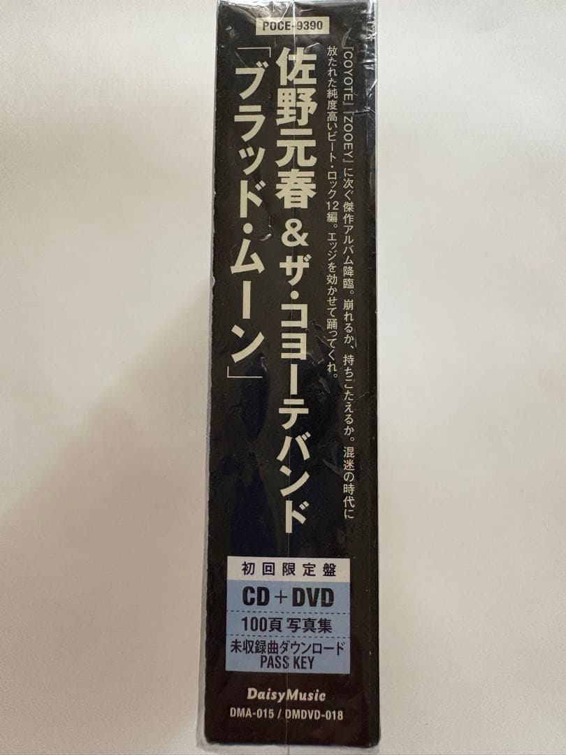 佐野元春CD+DVD ブラッドムーン 初回限定盤