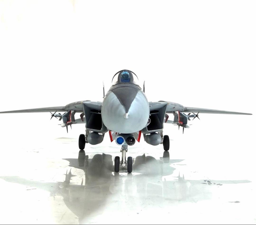 タミヤ1/48 F-14D TOMCAT ジョリーロジャース仕様VF-103