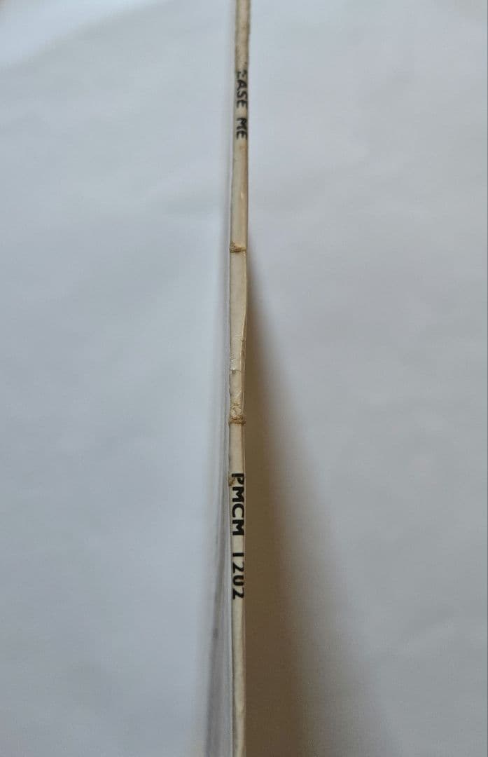 激レア Beatles Please Please Me ニュージーランド盤