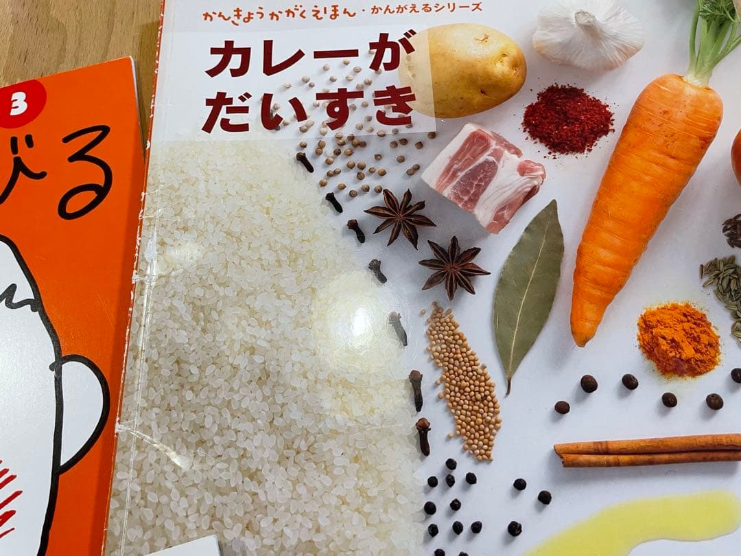 こどものとも　かがくのとも他　カレーライス　カレーがだいすき　かいものづくし他