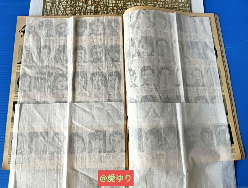 ♦日航ジャンボ機墜落事件❄️関連誌全５冊⭐御巣鷹山⭐事故調⭐ボイスレコーダー