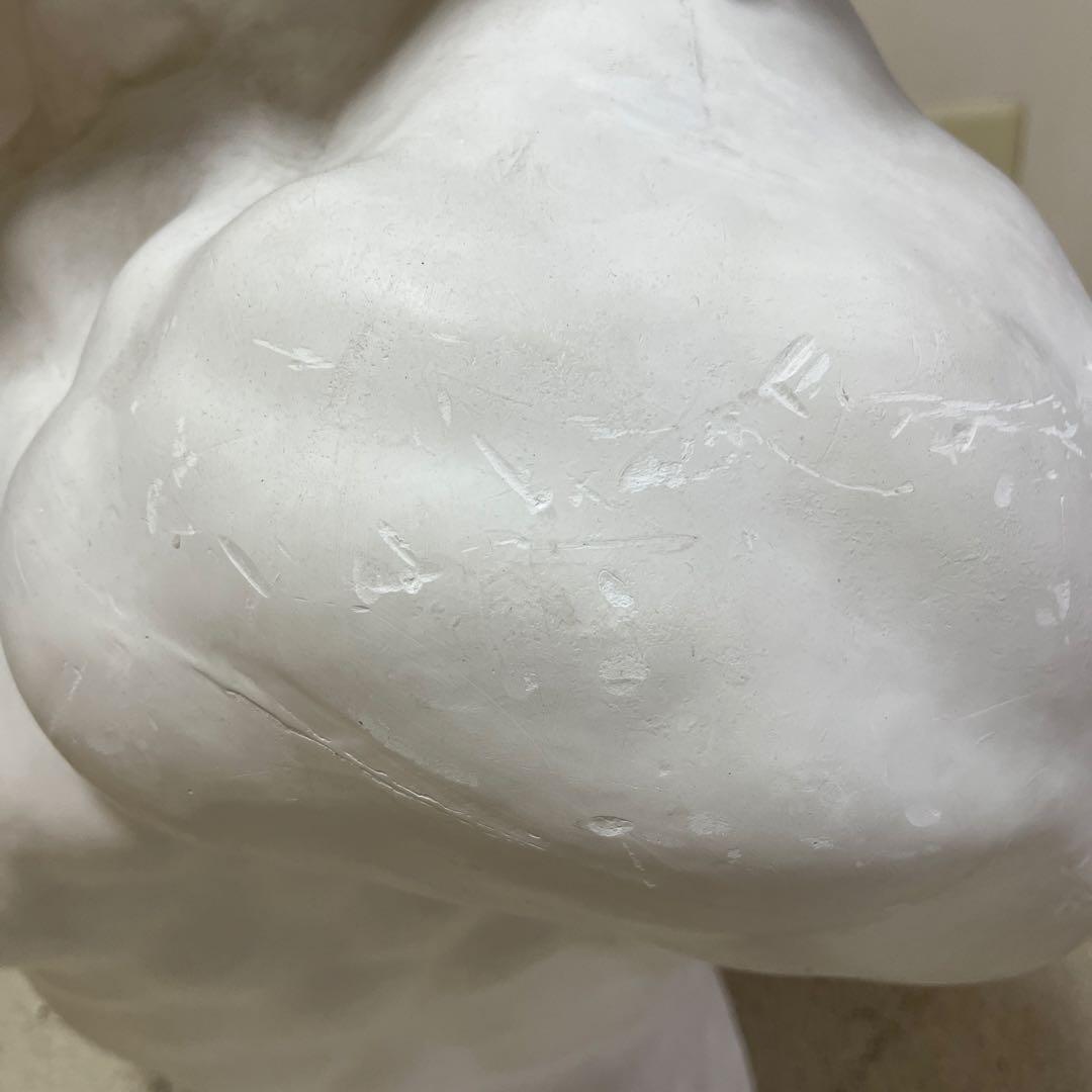 ラオコーン　石膏像　デッサン