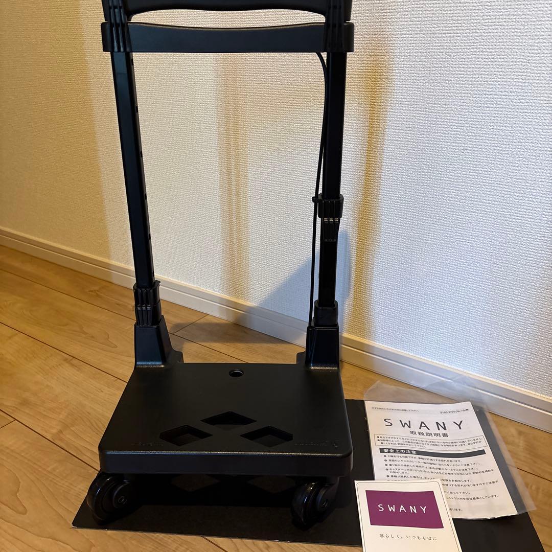 【タグ付き未使用】SWANY × 近沢レースキャリーバック