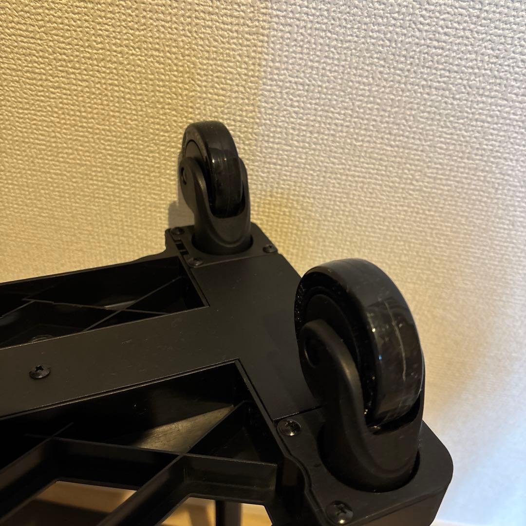 【タグ付き未使用】SWANY × 近沢レースキャリーバック