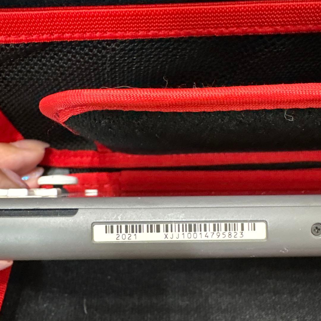 専用　Nintendo Switch Lite グレー　ケース付き