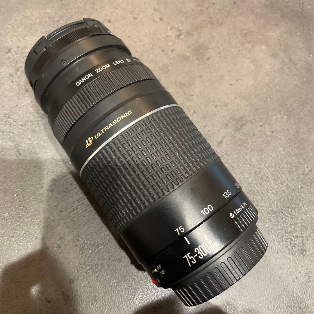 【美品】Canon 望遠レンズ EF75-300mm F4-5.6 III