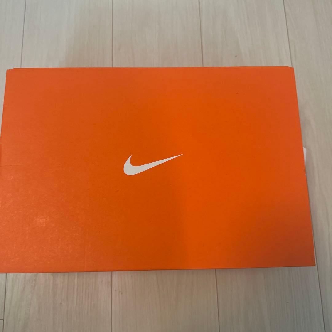 Nike Air Zoom Pegasus 39 サイズ10