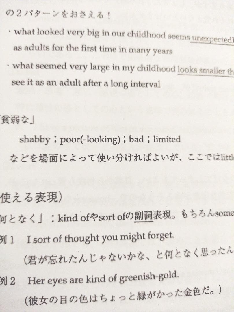 鉄緑会の最上位クラス英作文演習 さらに上を目指す人のために　英語　駿台　河合塾