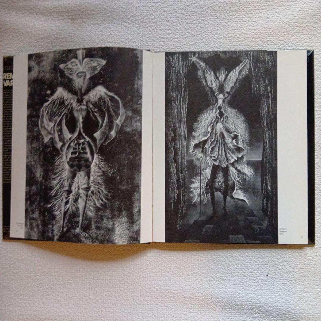 Remedios Varo レメディオス・バロ　画集